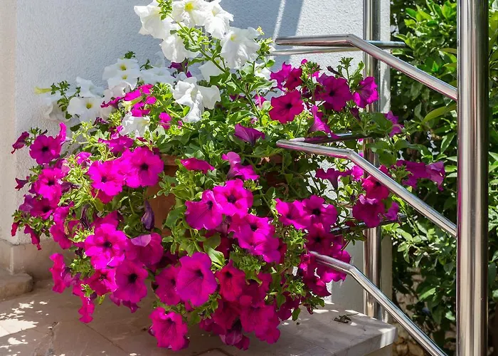 In Апартаменты *