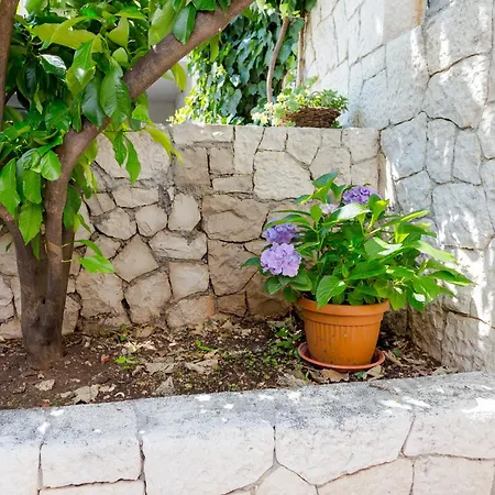 In * Trogir