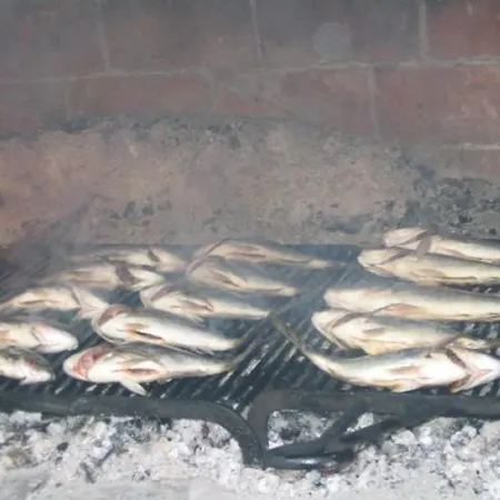 In Traù