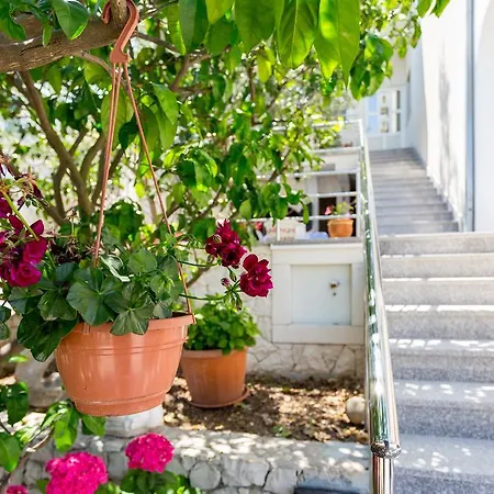 Appartement In *